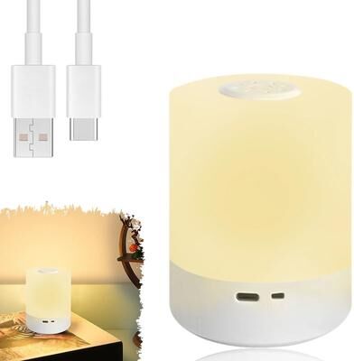 Uplifted Finds Touch LED Night Light 3 Modes USB Charging Soft Table Lamp For Kids Bedroom Gift usb Charging Model blue