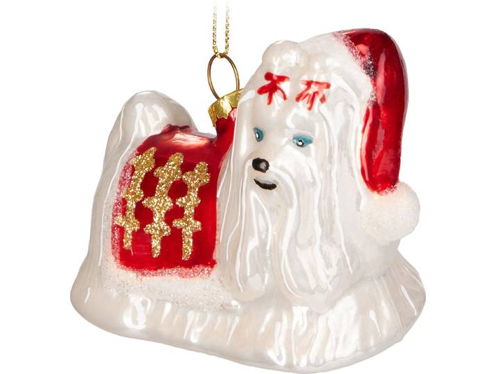 BRUBAKER Maltezer Hond wit in Kerstoutfit Goud Rood - Handbeschilderde Kerstbal van Glas - Handgeblazen Kerstboomversieringen Figuren Grappige Decoratieve Hangers Boombal - 8\,6 cm