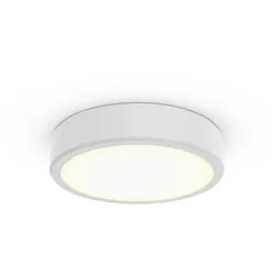 Philips Lighting 3D-LED-Leuchte TCBRMS 19S #86388000