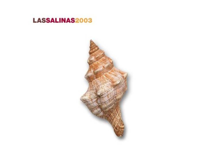 Las Salinas 2003
