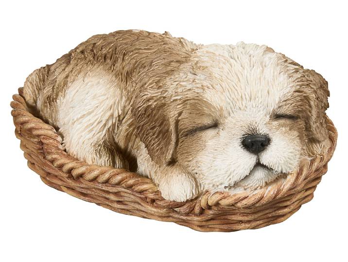 Vivid Shih-Tzu Welpe im Körbchen Braun 7.9 × 11.5 × 16.5 cm