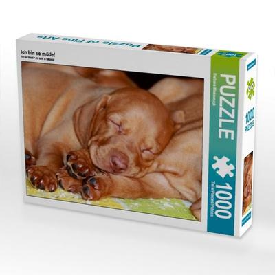 CALVENDO Puzzle Ich bin so müde! | 1000 Teile Lege-Größe 64x48cm Foto-Puzzle für glückliche Stunden