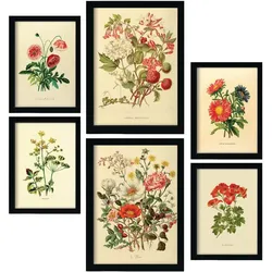 POSTER Set Mit 6 Blumensträuße 1 In Vintage A3 & A4 Schwarzer Rahmen