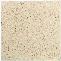 Diephaus Terrassenplatte OPTIMA 40 x 40 x 4 cm Karamell-Beige