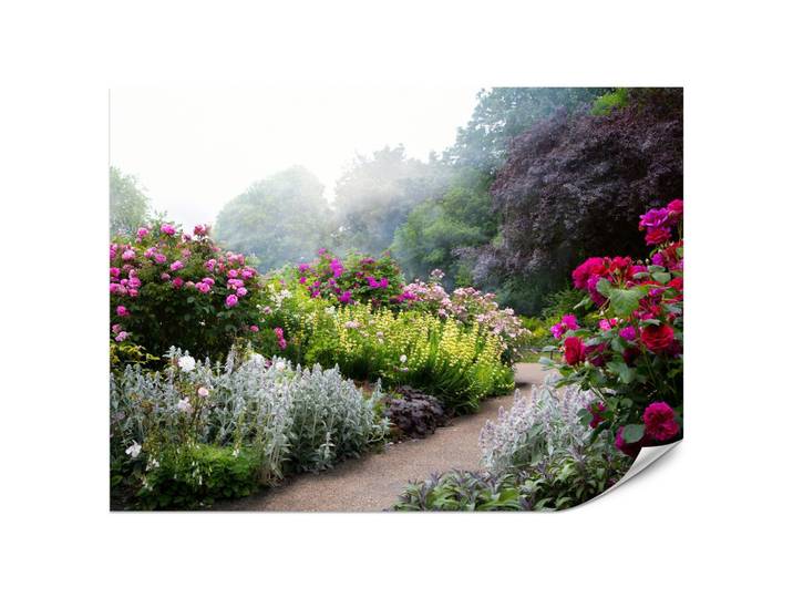 FOTOTAPETE für Schlafzimmer Bunte Blumen Waldweg Rosen Bäume 200x140