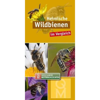Heimische Wildbienen, Sonstige von , Quelle & Meyer, 978-3-494-01828-7