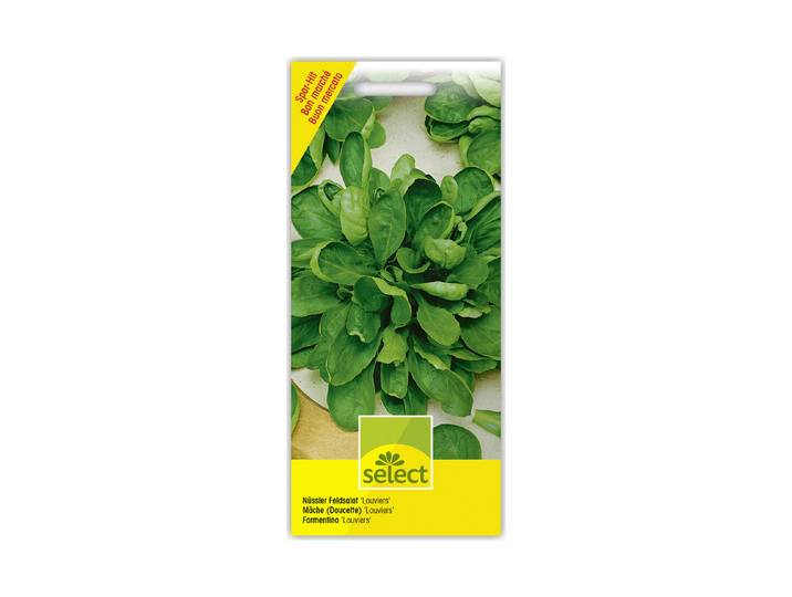 Select Nüssler Feldsalat Louviers