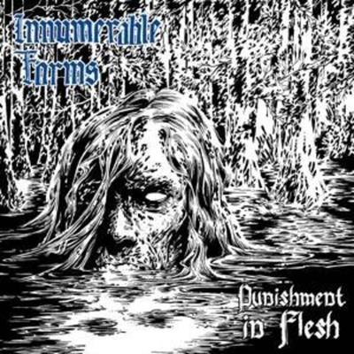 Punishment In Flesh - Innumerable Forms, CD