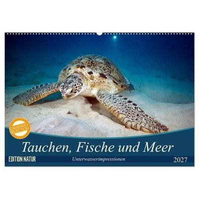 Tauchen, Fische und Meer (Wandkalender 2027 DIN A2 quer), CALVENDO Monatskalender