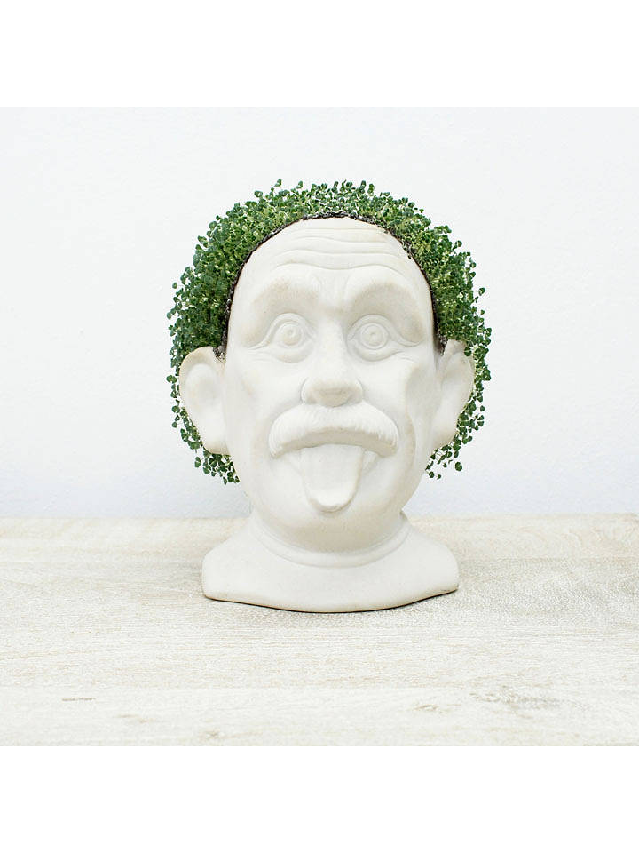 Winkee Blumentopf ''Chia Genie'' in Weiß - (B)18 x (H)23 x (T)17 cm - onesize