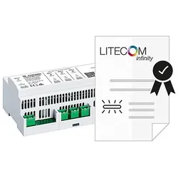 Zumtobel 22169627 Bildung von Spezielleuchten LITECOM INF SL 500