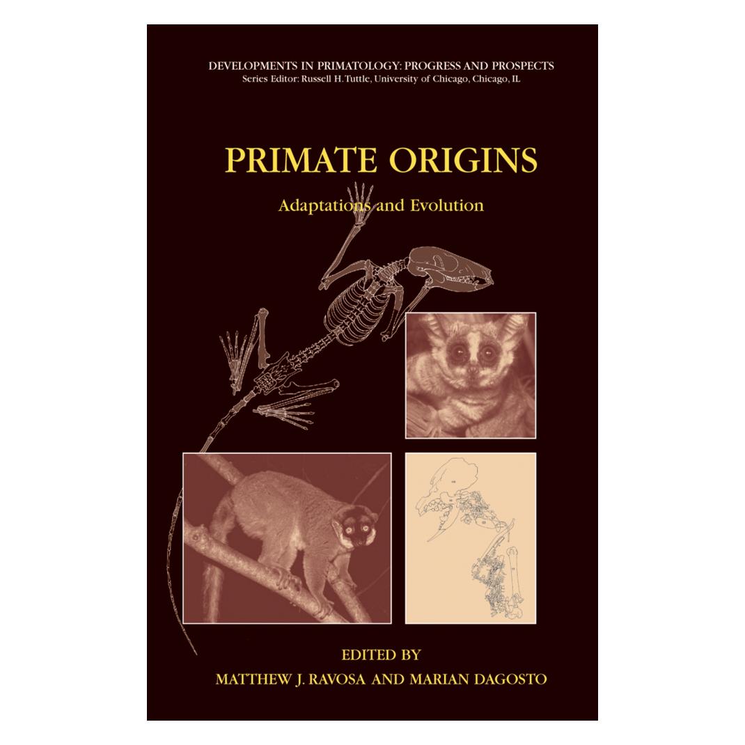 Springer Primate Origins: Adaptations and Evolution (Englisch, Softcover, Marian Dagosto, Matthew J. Ravosa) (55953426)