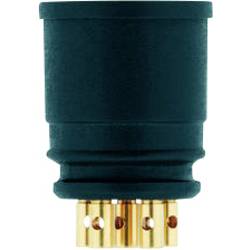 Escha 8008155 Sensor-/Aktor-Einbausteckverbinder M12 Polzahl Sensoren: 4 1 St.
