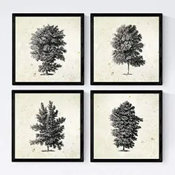 POSTER Set mit 4 Blättern der Hohe Bäume in der 20x20cm Rahmenlos