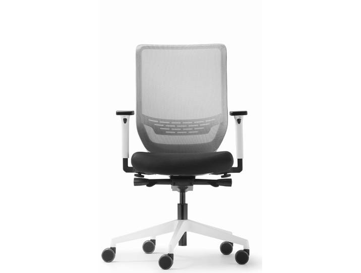 Fauteuil ergonomique Dauphin To-Sync - Soutien lombaire - Accoudoirs 4D - Dossier Blanc - Assise Noir