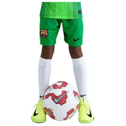 Nike, Jungen, Sporthose, Barcelona Stadion Torwart-Shorts für Kinder (L), Grün