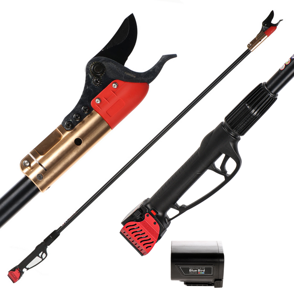 Blue Bird HPS 22-160 - Elektrische Astschere auf 160 cm Verlängerungsstange - 21.6V 2.5Ah - Schnittdurchmesser max. 40 mm