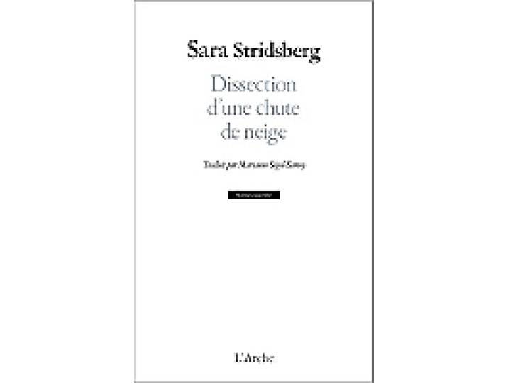 Dissection d'une chute de neige (Poche)