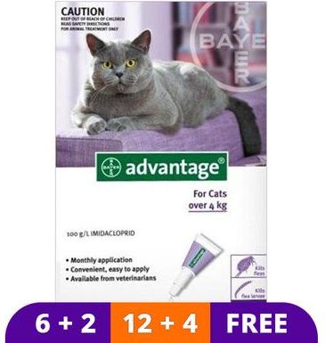Advantage Cats Over 9lbs (Purple) 12 Doses + 4 Free