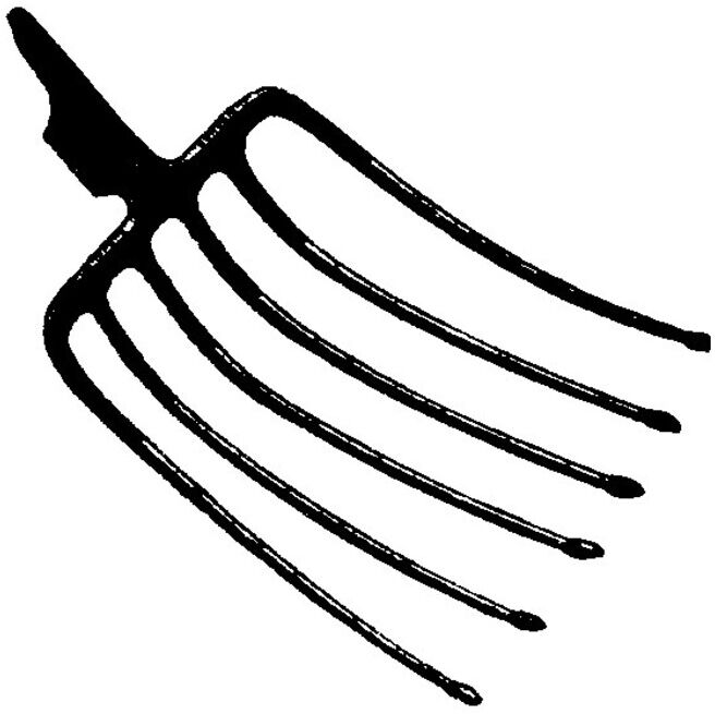 FREUND Fourche à betteraves avec douille à ressort 6 dents (3310531)