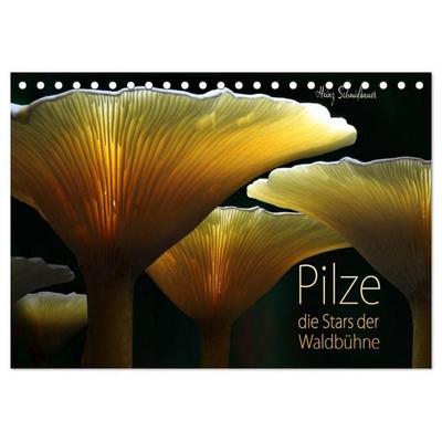Pilze - die Stars der Waldbühne (Tischkalender 2027 DIN A5 quer), CALVENDO Monatskalender