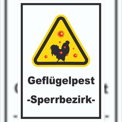 HB-Druck Geflügelpest Schild A5 (148x210mm)