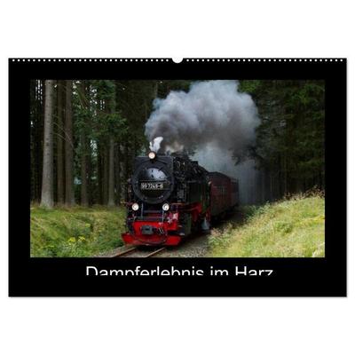 Dampferlebnis im Harz (Wandkalender 2026 DIN A2 quer), CALVENDO Monatskalender