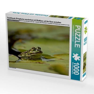CALVENDO Puzzle Teichfrosch (Pelophylax esculentus) mit Blattlaus auf der Nase zwischen Seerosenblättern | 1000 Teile Lege-Größe 64x48cm Foto-Puzzle