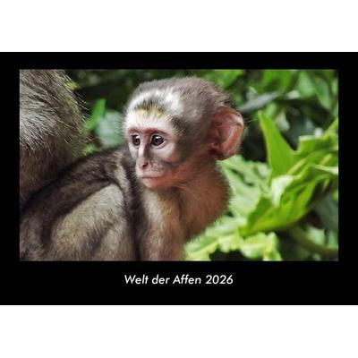 Welt der Affen 2026 Fotokalender DIN A3