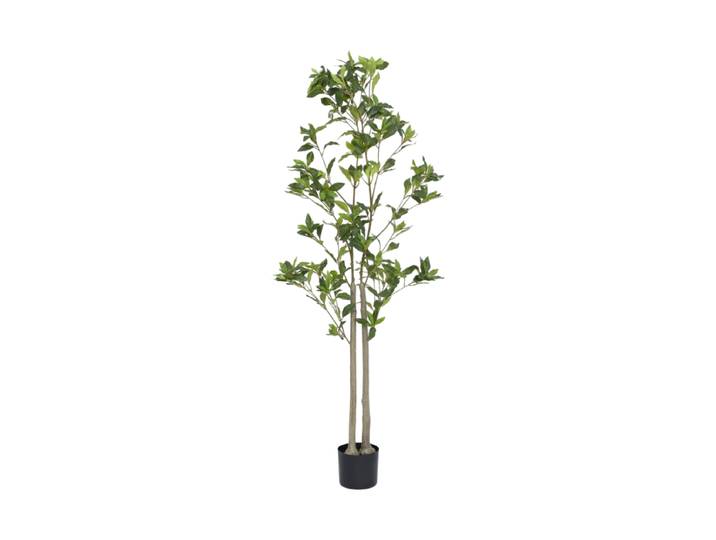 Lebensechte Kunstpflanze „Pieris“, verschiedene Grössen Grün Baq Design