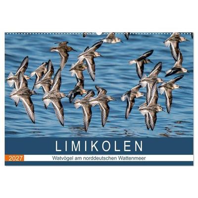 Limikolen - Watvögel am norddeutschen Wattenmeer (Wandkalender 2027 DIN A2 quer), CALVENDO Monatskalender