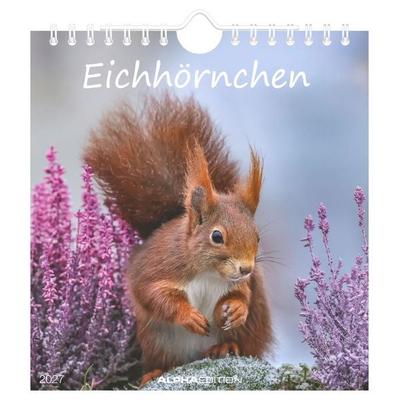 Eichhörnchen 2027