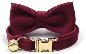 Uplift Essentials Custom Engraved Velvet Safety Cat Collar wine Red l