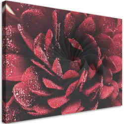 WANDBILD makroblume