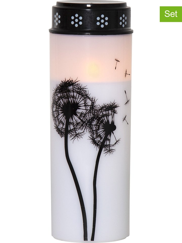 STAR Trading 4er-Set: LED-Grablichter ''Dandelion'' in Weiß/ Schwarz - (H)21 x Ø 7 cm - onesize