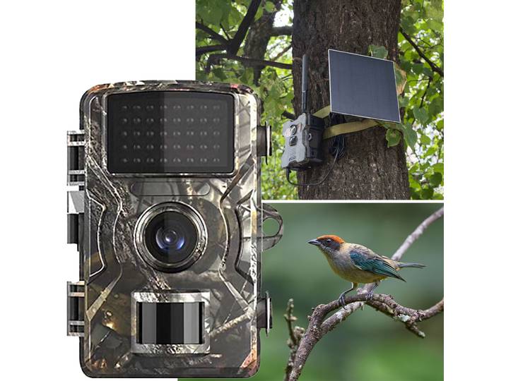Wildkamera, PIR-Bewegungssensor, Nachtsicht, Full-HD