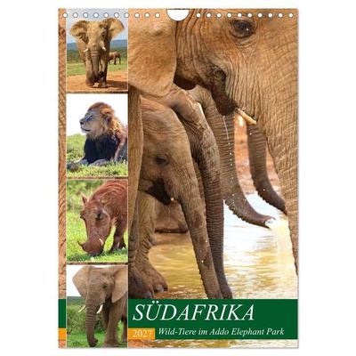 SÜDAFRIKA Wild-Tiere im Addo Elephant Park (Wandkalender 2027 DIN A4 hoch), CALVENDO Monatskalender