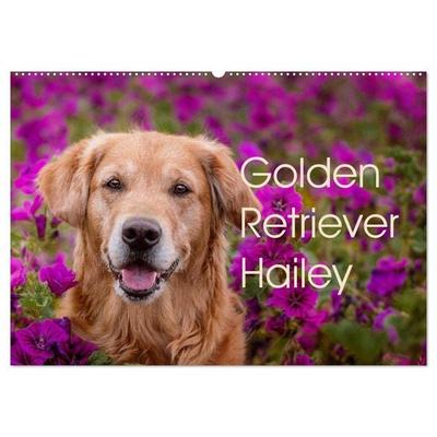 Golden Retriever Hailey Fotokalender (Wandkalender 2026 DIN A2 quer), CALVENDO Monatskalender