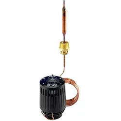 Danfoss Thermostatisches Element 003L3531 Fernfühler, 35-75C, Kapillare 2,0 m