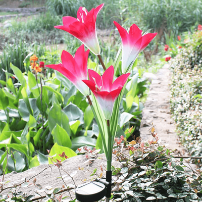 HomeDecorAndMore LLC Solar Lily Flower Lights Pink