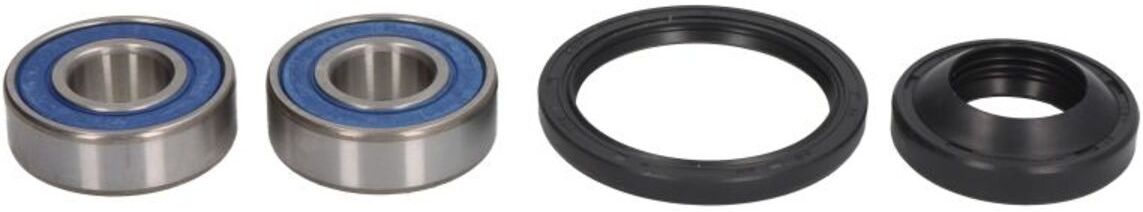 Jeu de roulements de roue ALL BALLS AB25-1120