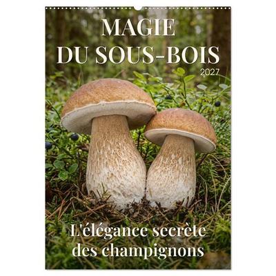 MAGIE DU SOUS-BOIS (Calendrier mural 2027 DIN A2 horizontal), CALVENDO calendrier mensuel