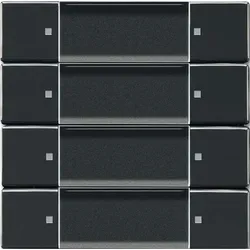 Busch-Jaeger Wandsender 6737/01-81