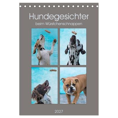 Hundegesichter beim Würstchenschnappen (Tischkalender 2027 DIN A5 hoch), CALVENDO Monatskalender