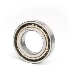 Nke SCHKG 7309 -BE-TVP ID 45mm AD 100mm Breite25mm