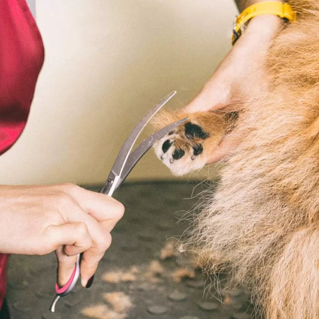 INF Friseurscheren-Set (7-teilig) Blau