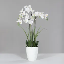 Kunstblume Orchidee (H 120 cm) - beige - H 120 cm