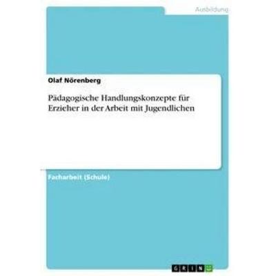 Pädagogische Handlungskonzepte für Erzieher in der Arbeit mit Jugendlichen, Taschenbuch von Olaf Nörenberg, GRIN, 978-3-668-62770-3