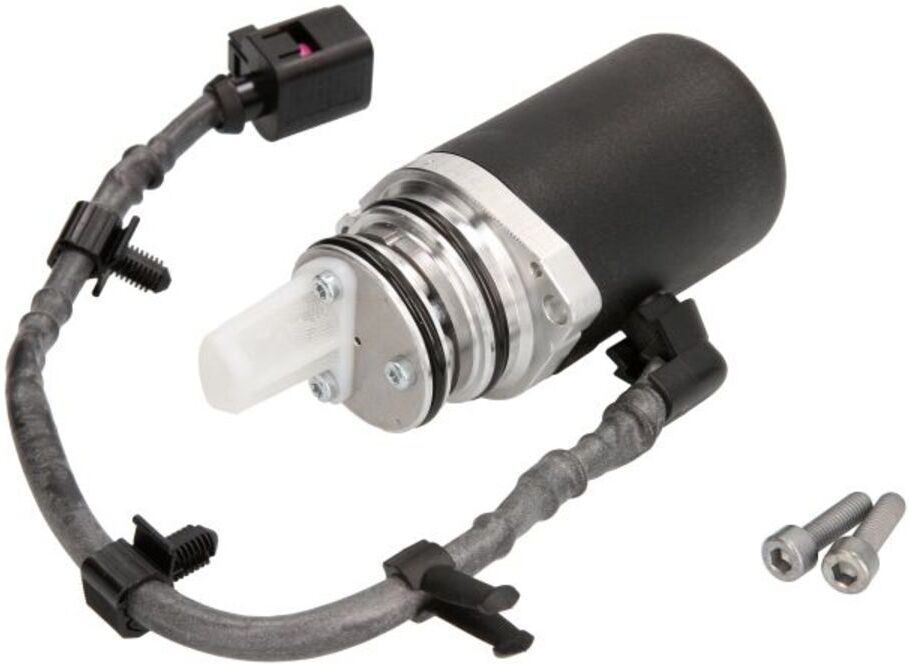 Öldruckpumpe BORG WARNER BW118613