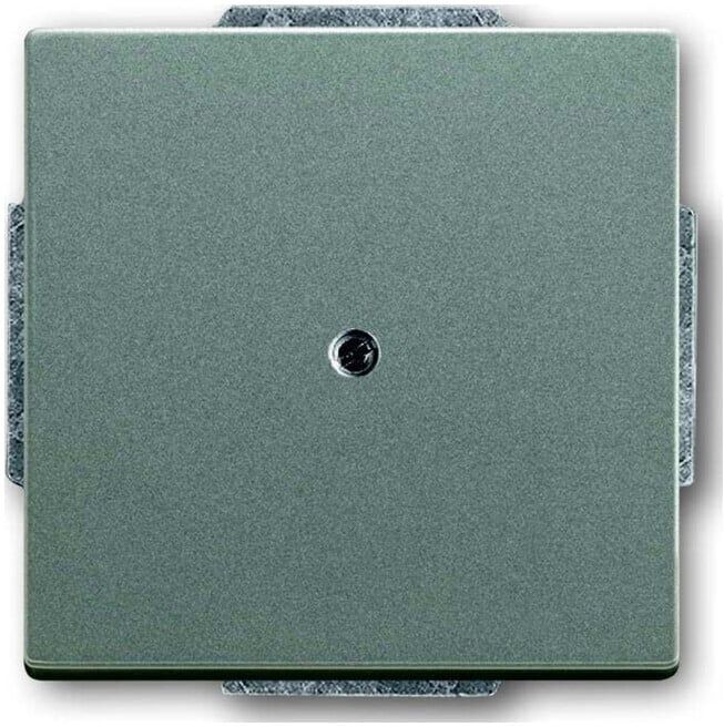 Busch-Jaeger Rosace centrale meteor aveugle avec bague de support 1742-803 (2CKA001710A3843)